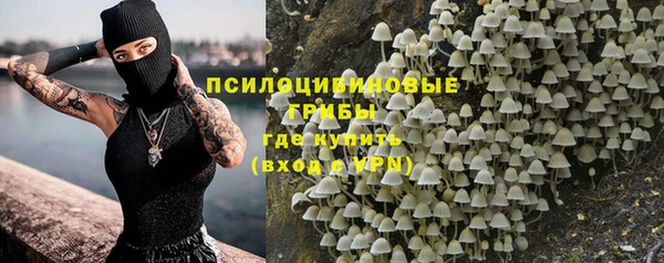 мет Богданович