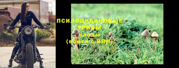 дурь Богородицк