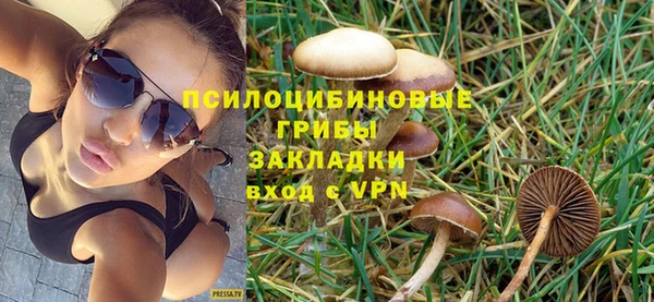 мет Богданович
