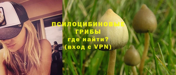 стаф Новодвинск
