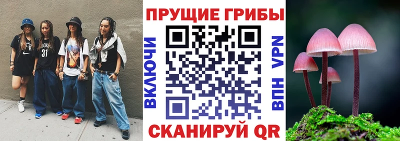 Галлюциногенные грибы Psilocybine cubensis  Венёв 